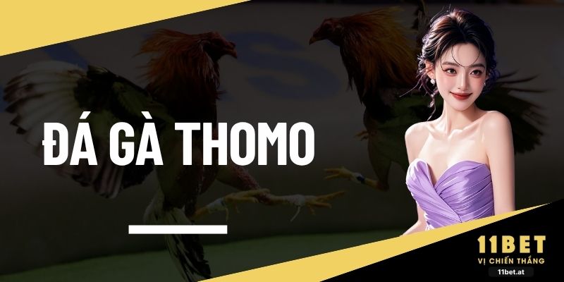 Đá gà Thomo