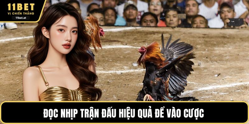 Đọc nhịp trận đấu hiệu quả để vào cược