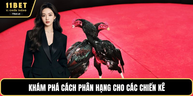 Khám phá cách phân hạng cho các chiến kê
